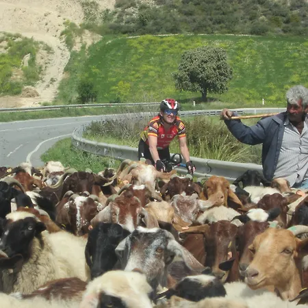 호텔 Droushia Heights Dhrousha