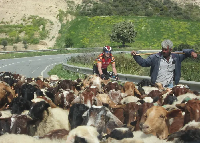 Hotel Droushia Heights Dhrousha